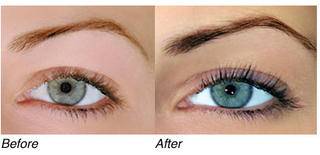 lash tint