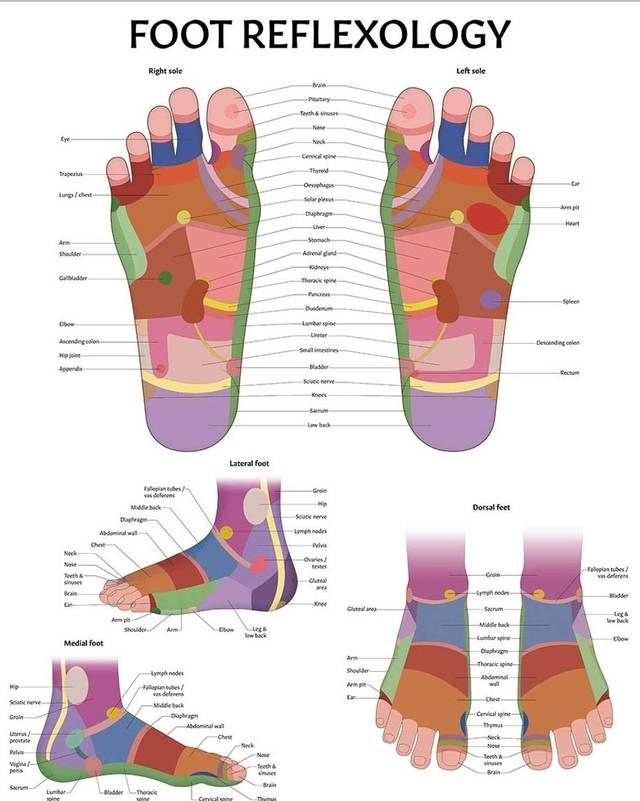 foot reflexology poster chart996118